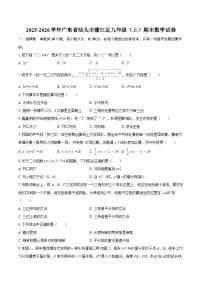 2025-2026学年广东省汕头市濠江区九年级（上）期末数学试卷-自定义类型