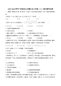 2025-2026学年广东省汕头市濠江区九年级（上）期末数学试卷-自定义类型