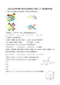 2025-2026学年浙江省台州市黄岩区九年级（上）期末数学试卷-普通用卷