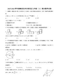 2025-2026学年湖南省长沙市雨花区九年级（上）期末数学试卷-自定义类型