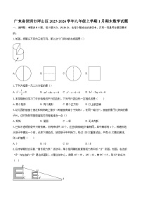 广东省深圳市坪山区2025-2026学年九年级上学期1月期末数学试题-自定义类型