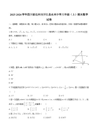 2025-2026学年四川省达州市开江县永兴中学八年级（上）期末数学试卷-自定义类型