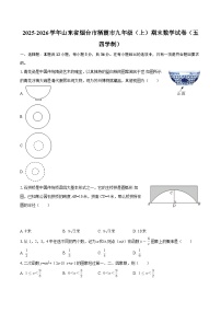 2025-2026学年山东省烟台市栖霞市九年级（上）期末数学试卷（五四学制）-自定义类型