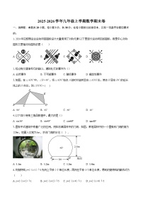 2025-2026学年九年级上学期数学期末卷-自定义类型