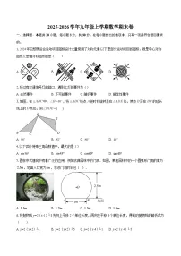 2025-2026学年九年级上学期数学期末卷-自定义类型