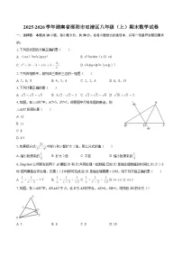 2025-2026学年湖南省邵阳市双清区八年级（上）期末数学试卷-自定义类型