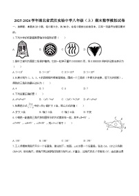 2025-2026学年湖北省武汉实验中学八年级（上）期末数学模拟试卷-自定义类型