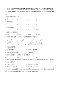 2025-2026学年河北省秦皇岛市海港区七年级（上）期末数学试卷-自定义类型