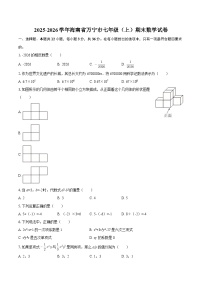 2025-2026学年海南省万宁市七年级（上）期末数学试卷-自定义类型