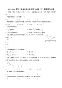 2025-2026学年广东省汕头市潮阳区七年级（上）期末数学试卷-自定义类型