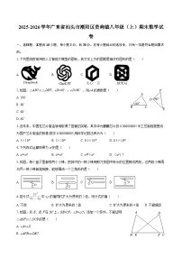 2025-2026学年广东省汕头市潮阳区贵屿镇八年级（上）期末数学试卷-自定义类型