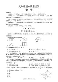 2025-2026学年度四川省成都市青羊区九年级上期期末数学试卷（附答案和解析）
