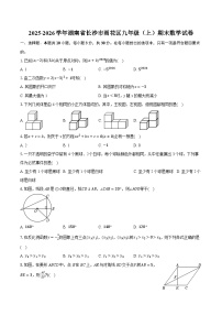 2025-2026学年湖南省长沙市雨花区九年级（上）期末数学试卷（含答案+解析）