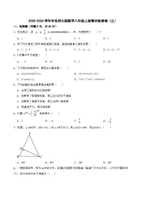 2025-2026学年华东师大版数学八年级上册期末检测卷（三）