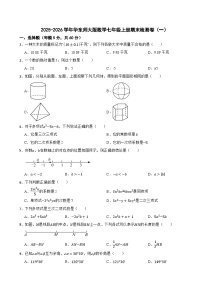 2025-2026学年华东师大版数学七年级上册期末检测卷（一）