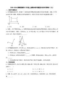 2025-2026浙教版数学八年级上册期末常考题型分类专项特训（九）