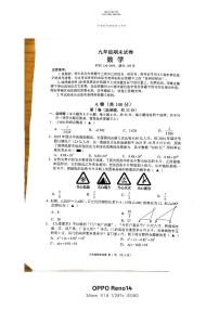 2025-2026学年度四川省成都市都江堰市九年级上期期末数学试卷（无答案）