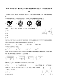 2025-2026学年广东省汕头市潮阳区贵屿镇八年级（上）期末数学试卷-普通用卷