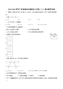 2025-2026学年广东省清远市清新区九年级（上）期末数学试卷-普通用卷
