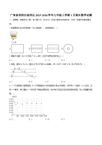 广东省深圳市盐田区2025-2026学年九年级上学期1月期末数学试题-普通用卷