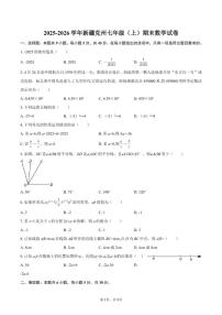 2025-2026学年新疆克州七年级（上）期末数学试卷