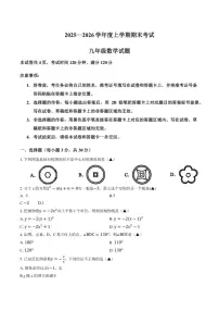 2025-2026学年湖北省荆州监利市上学期期末九年级数学试卷（含答案）