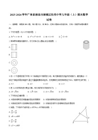 2025-2026学年广东省清远市清城区松岗中学九年级（上）期末数学试卷（含答案+解析）