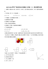 2025-2026学年广东省茂名市茂南区七年级（上）期末数学试卷（含答案+解析）