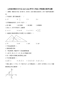 山东省济南市市中区2025-2026学年八年级上学期期末数学试题-自定义类型