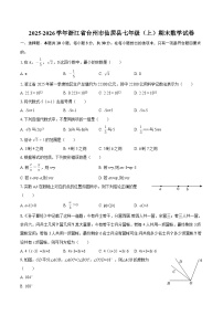 2025-2026学年浙江省台州市仙居县七年级（上）期末数学试卷-自定义类型