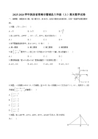 2025-2026学年陕西省渭南市蒲城县八年级（上）期末数学试卷-自定义类型