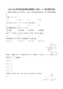 2025-2026学年陕西省渭南市蒲城县八年级（上）期末数学试卷-自定义类型