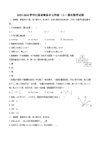 2025-2026学年江西省南昌市七年级（上）期末数学试卷-自定义类型