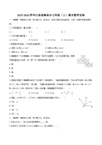 2025-2026学年江西省南昌市七年级（上）期末数学试卷-自定义类型