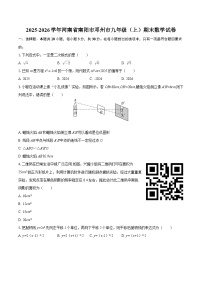 2025-2026学年河南省南阳市邓州市九年级（上）期末数学试卷-自定义类型