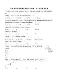 2025-2026学年海南省澄迈县七年级（上）期末数学试卷-自定义类型
