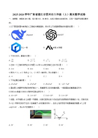 2025-2026学年广东省湛江市雷州市八年级（上）期末数学试卷-自定义类型