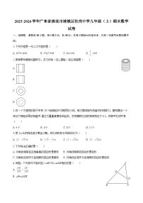 2025-2026学年广东省清远市清城区松岗中学九年级（上）期末数学试卷-自定义类型