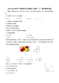2025-2026学年广东省茂名市茂南区七年级（上）期末数学试卷-自定义类型