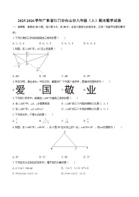 2025-2026学年广东省江门市台山市八年级（上）期末数学试卷-自定义类型