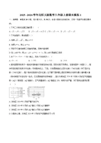 2025--2026学年北师大版数学八年级上册期末模拟1-自定义类型
