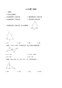 初中数学北师大版（2024）七年级下册（2024）全等三角形一课一练