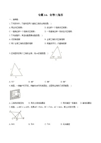 2025年上海市中考数学一轮复习  练习题 专题14：全等三角形（含答案+解析）