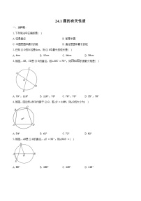初中数学人教版（2024）九年级上册圆的有关性质课时训练