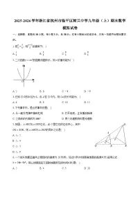2025-2026学年浙江省杭州市临平区树兰中学九年级（上）期末数学模拟试卷-普通用卷