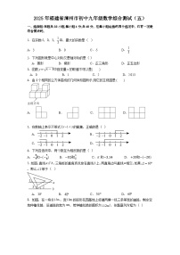 2025年福建省漳州市初中九年级数学中考模拟综合测试（五）(含答案)