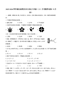 湖北省武汉市江岸区2025-2026学年八年级上学期9月月考数学试卷(含答案)