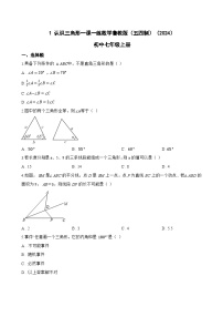 初中数学鲁教版（五四学制）（2024）七年级上册（2024）第一章 三角形1 认识三角形一课一练
