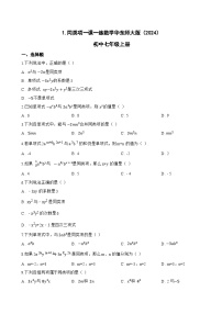 初中数学华东师大版（2024）七年级上册（2024）同类项当堂达标检测题