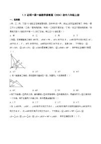 初中数学浙教版（2024）八年级上册（2024）1.3 证明复习练习题